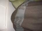 IMGP0190.jpg (14kb)
