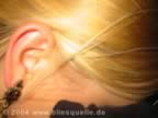 IMG_2147.jpg (15kb)