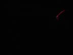 IMG_1417.jpg (4kb)