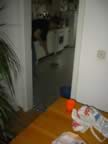 IMG_1488.jpg (27kb)